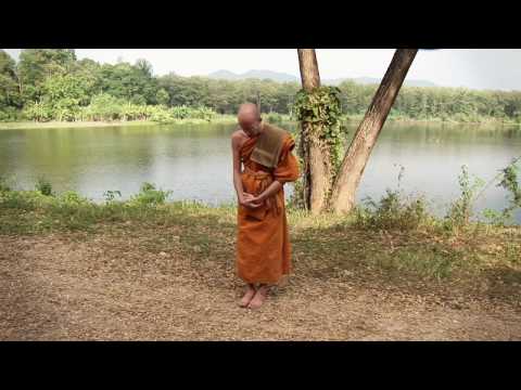 How To Meditate III - Walking Meditation Video