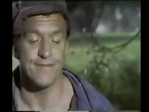 Des souris et des hommes