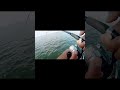Video Thumbnail for Just fishing #short #catchandrelease #lakefishing
