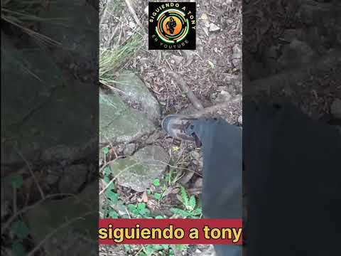 dique La Quebrada. Río Ceballos. Córdoba. Argentina.