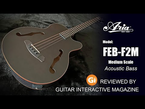 Электроакустическая бас-гитара Aria FEB-F2M STBR