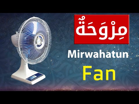 100 Essential Arabic Words Every Beginner Should Know