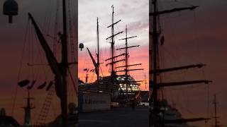 😱OMG*CRUISE SHIP SAILING VIEWS 🔥