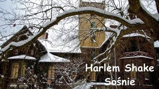 preview picture of video 'Harlem Shake Sośnie'