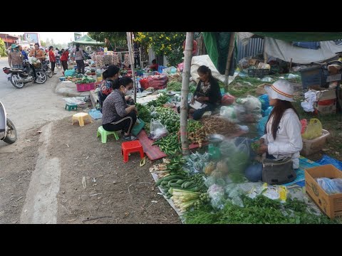 Chom Noam Countryside Food Market @Moungkul Borei - Morning Daily LifeStyle Of Vendor in Countryside