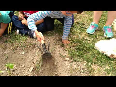 El desafío del cole San Pedro, de Baltanás