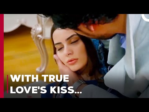 Leyla Fainted From Fright in Front of Mirza! - Can't Stop Loving You