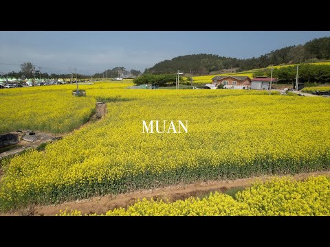 Flying Over South Korea | Muan