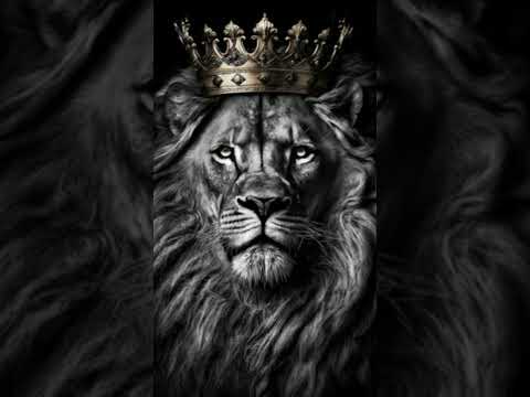 Song : Gonza the lion heart #supportme #subscribemychannel #roadto500subs #aisong