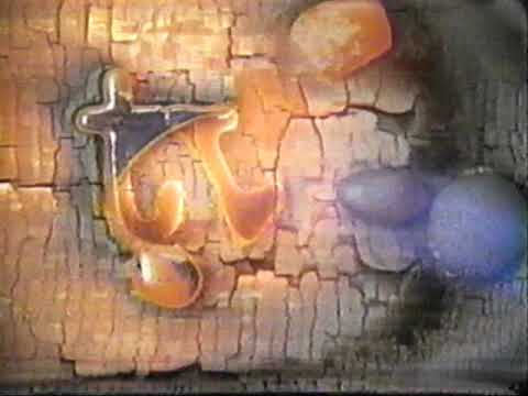 TVO Bumper 1990s