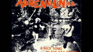 Adrenalin OD-Return To Beneath The Planet Of AOD ( 1984 Fast Hardcore Punk)