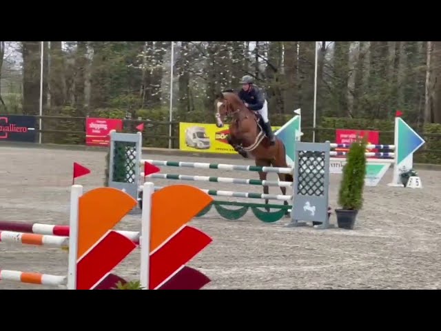 C'est Momo @ show outdoor