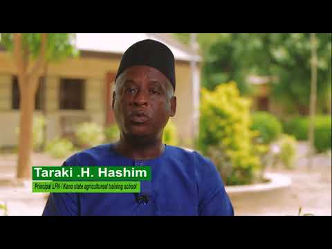 Congratulations to LFN at 30