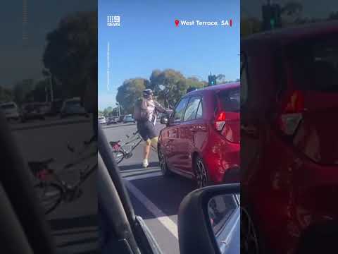 Road rage punch-up caught on camera
