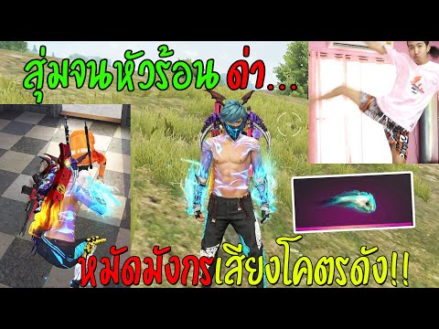 ฟีฟาย