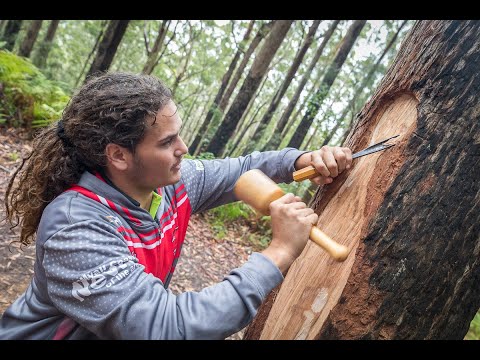 Bulahdelah Mountain Aboriginal Place