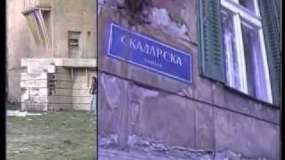 galija skadarska