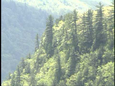 Lumber Heritage Region: An Introduction