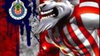 Desolacion Intocable