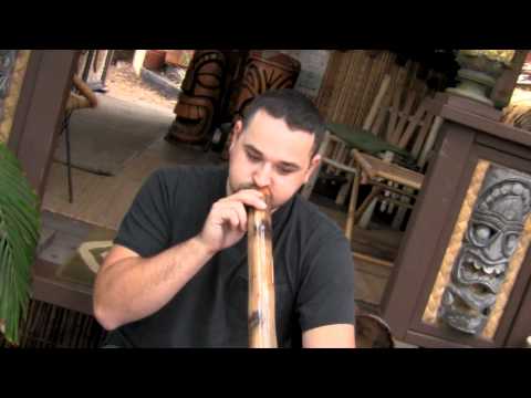 Agave Didgeridoo #BE254 by Brad Evans