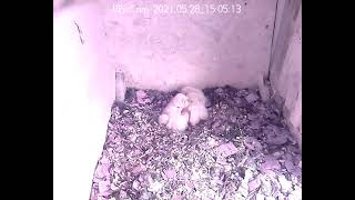 Bis auf eins haben es alle geschafft