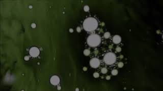 Black Light Burns - Animal (Español)