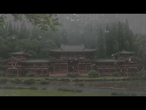 Instant Sleep in 11 minutes 💤 Sound of Rain on Roof in Misty Forest for Deep Sleep