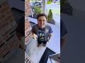 Do The Roar Youtubeshorts Foryou Funny Funnyshorts Shrek