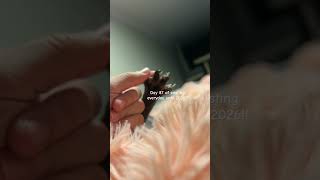 Download lagu Posting everyday until 20266!#2025 #2026 #catfeet #web mp3