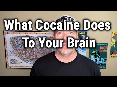 What Cocaine Does To Your Brain