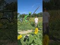 Putting up fake power lines for dove season🕊️🕊️ #fypage #fyp #tractor #tractorvideo #powerlines
