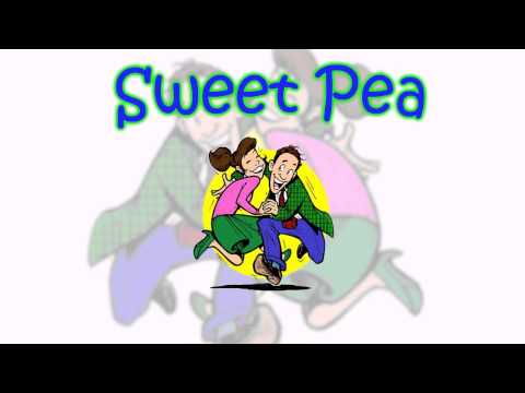 Pea Shooter- Sweet Pea