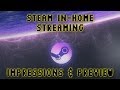 Steam In-House Streaming Beta Impressions 