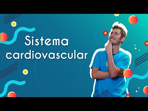 Cardiovascular system - Brazil School