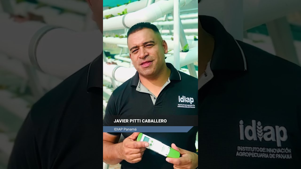 Agricultura Vertical: Innovación para la horticultura en América Latina y el Caribe (ALC)