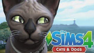 CAT BREEDING - The Sims 4 Cats and Dogs | Episode 29