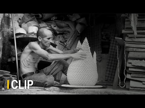 Cisne Cuello Negro Cuello Blanco | CLIP | Marcel Beltrán
