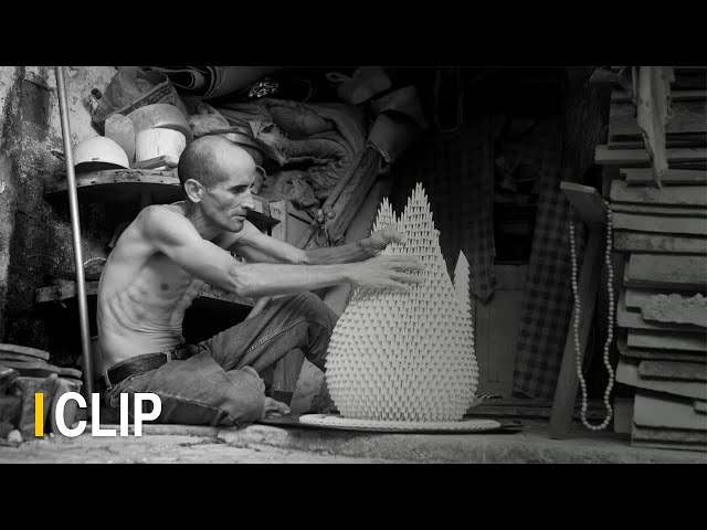 Cisne Cuello Negro Cuello Blanco | CLIP | Marcel Beltrán