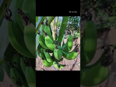 JustClick90 | नैसर्गिक सौंदर्य | Photography | Beautiful Nature |