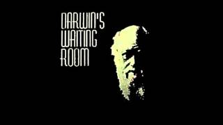 Darwin&#39;s Waiting Room - Breathe