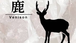 出落ちでも良ければご覧下さい！DEEEER Simulator  part1