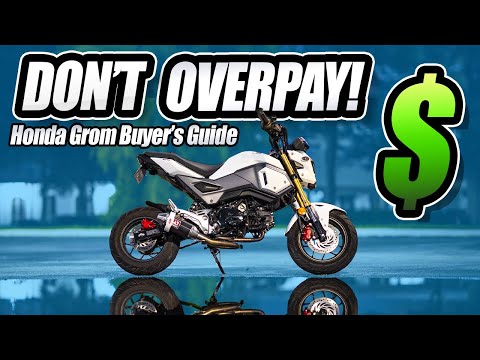 Ultimate Honda Grom Buyer's Guide