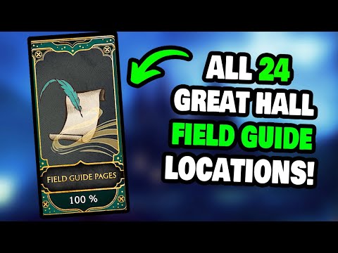 Tutte le 24 posizioni delle pagine della guida pratica nella Sala Grande in Hogwarts Legacy! (PAS...