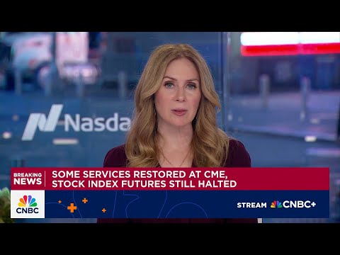 Some services restored at CME, stock index futures still halted