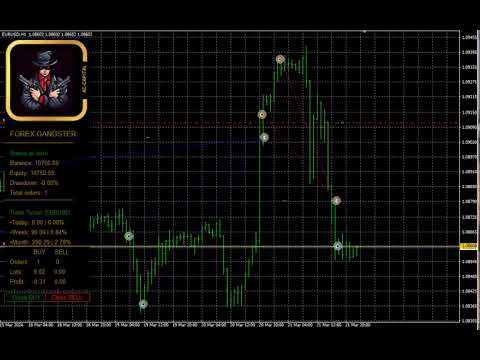 Video Forex Gangster PRT