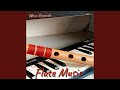 Flute Music Krishna Flute