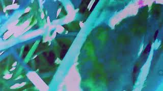 Can't (SadBoi Anthem) Music Video