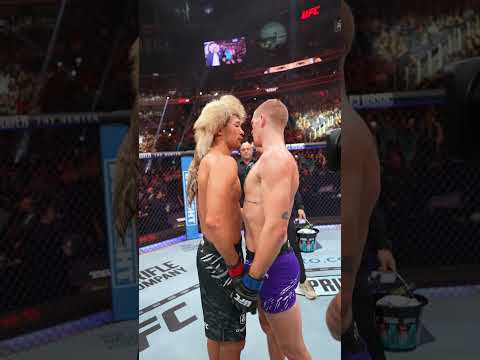 UFC video artwork