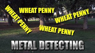 Metal Detecting: T2 Classic and 4 More Wheats!
