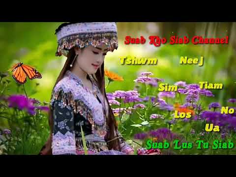 Tswm sim los ua neej tiam no(cover)-(suab lus tu siab tshaj nplawg)_?(suab kho siab channel)